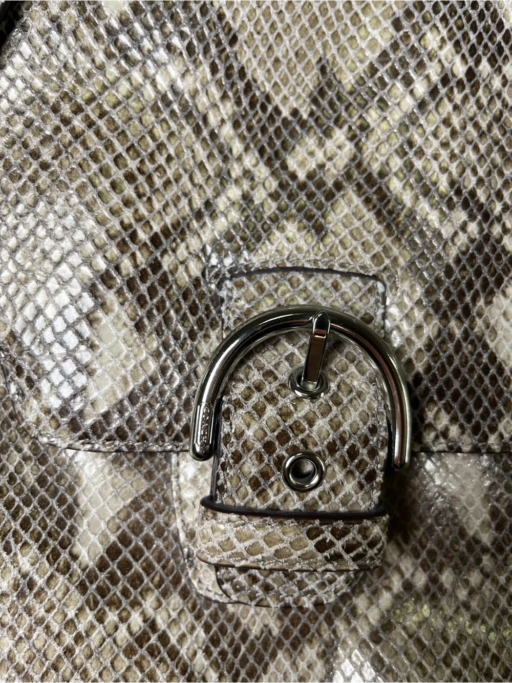 Coach Snake-Print Authentic Python Tote Bag in Neutral Bag with buckle accent